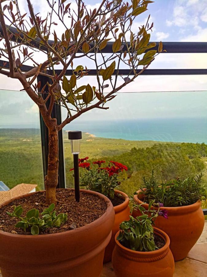 Precioso Atico En La Sierra De Irta Apartment Alcoceber Exterior photo